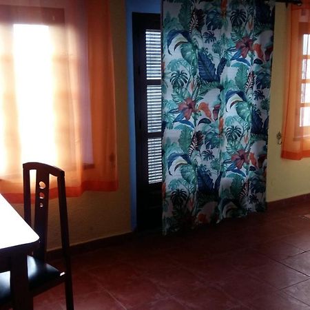 Sunshine Apartment At Tropical Coast Of Granada Almuñécar Extérieur photo
